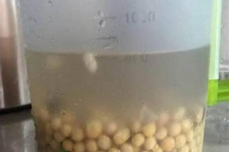 大豆追肥的最佳时期