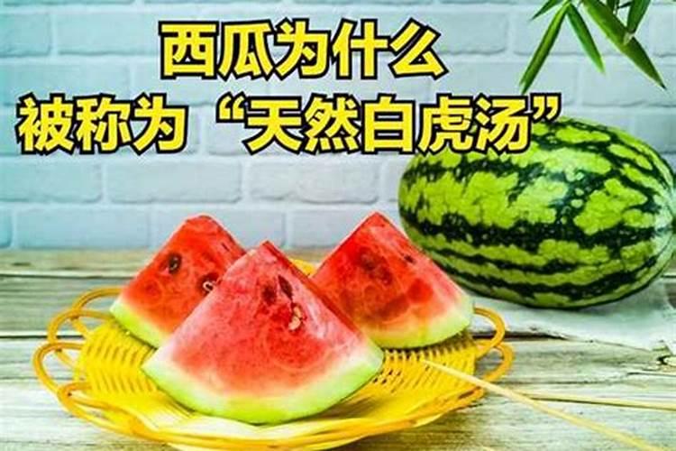 西瓜移植后打芸苔素行不行？