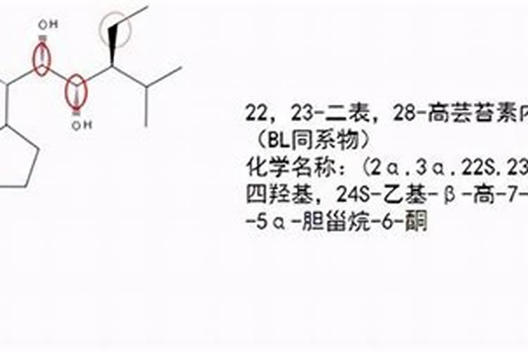 芸苔素142428哪个好