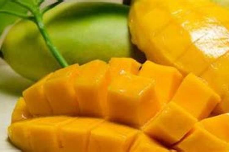 三角梅用什么肥料最好