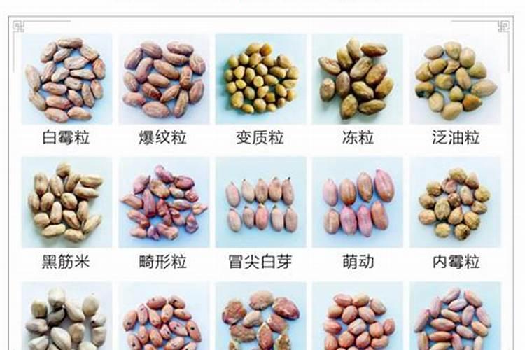 柑橘树施什么复合肥好呢？一年要施多少次？(大树)