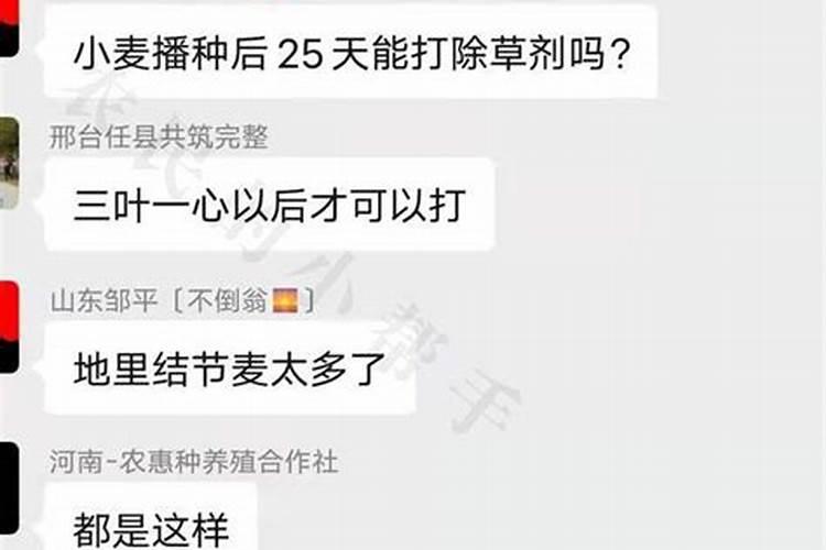 小麦打过除草剂几天能撒肥料