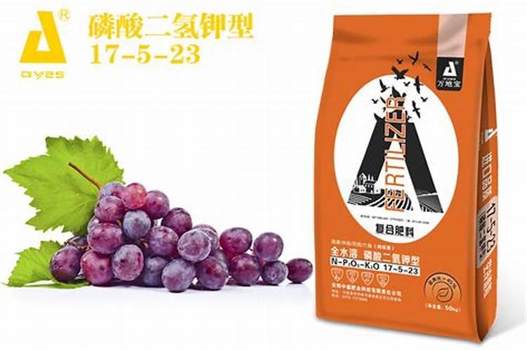 阳光玫瑰葡萄采收后怎么施肥