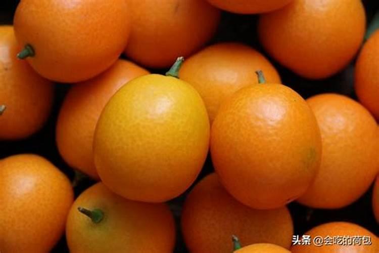 金桔的养殖方法和注意事项金桔的养殖方法