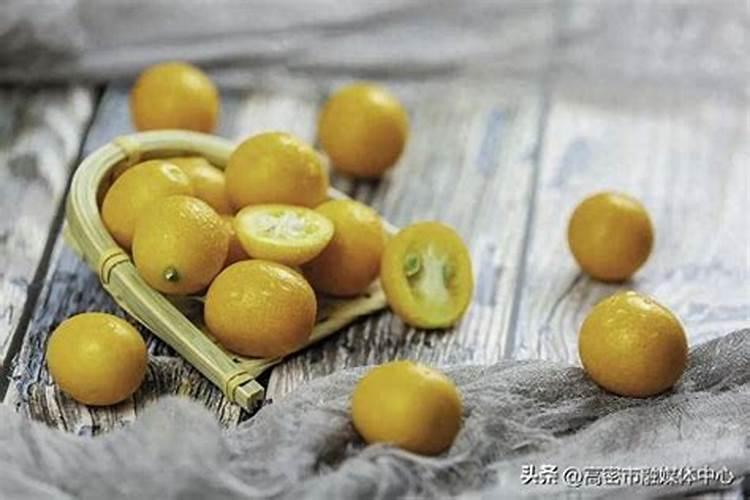 金桔的养殖方法和注意事项金桔的养殖方法