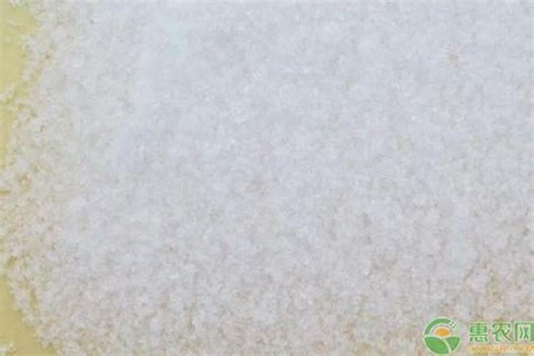 水稻叶面喷肥时间 水稻怎么施肥