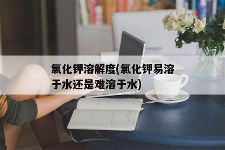 大理有哪些不同特色的菜市场可以推荐？