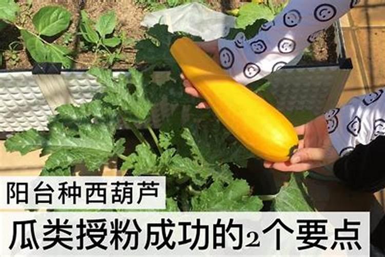 磷肥的作用