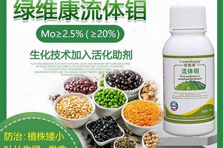 大豆叶面肥的喷施技巧 大豆怎么施肥