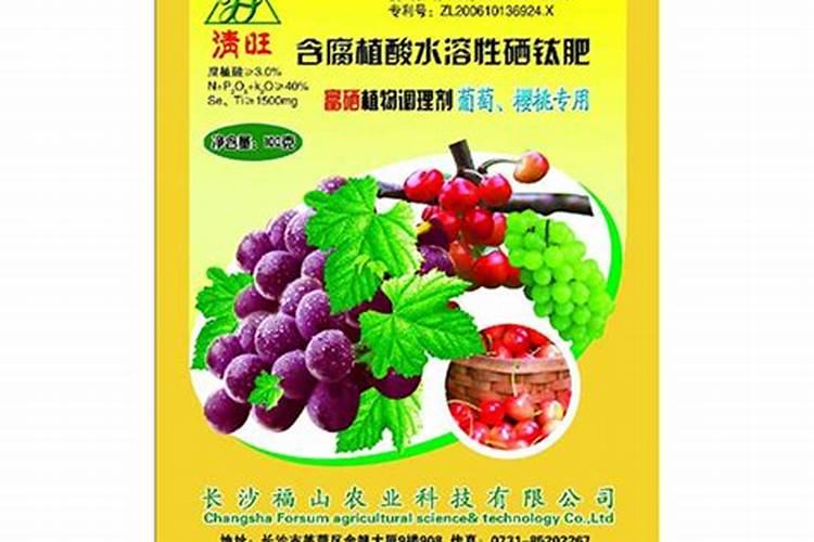枣树可以扦插吗 枣树可以不可以扦插