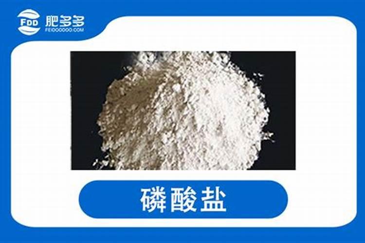 怎样种玉米可以高产,旱地