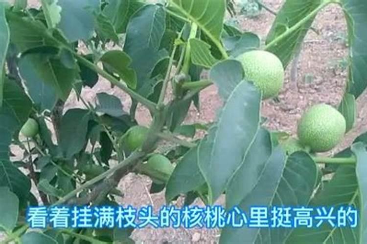 英联马利的公司简介