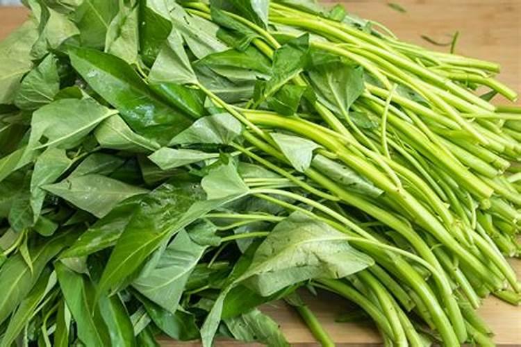 空心菜施什么肥料最嫩