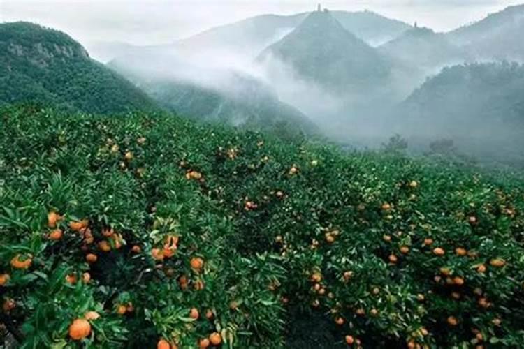 硝酸钾正确使用方法 硝酸钾是什么