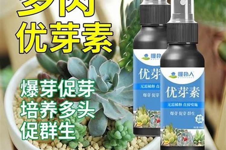 果树上怎样使用水溶肥？施肥时需要注意什么？