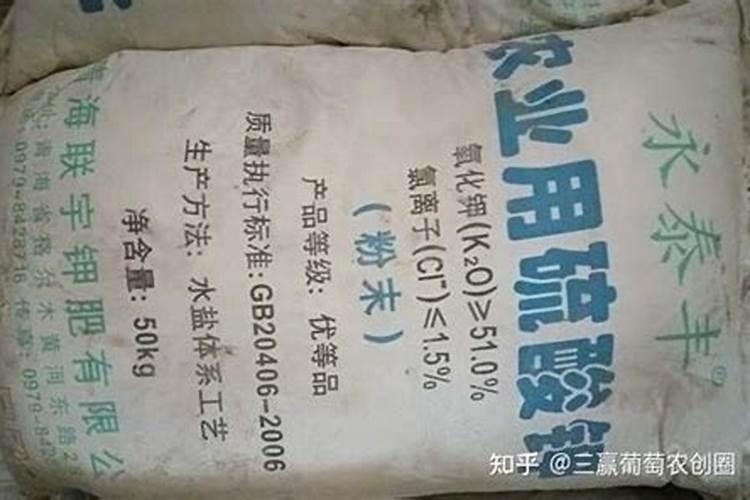 麦子是怎么种出来的
