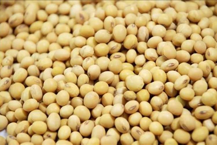 种植大豆需要用什么肥？