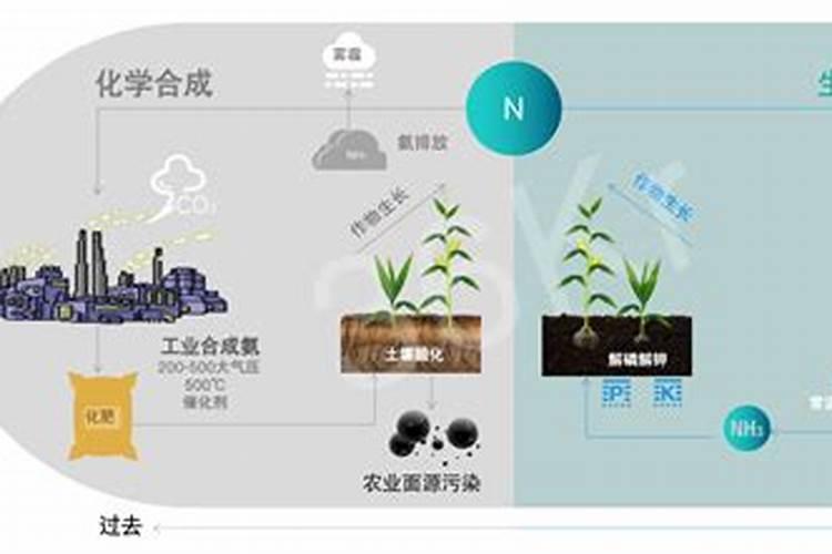 N3氮肥基本功能