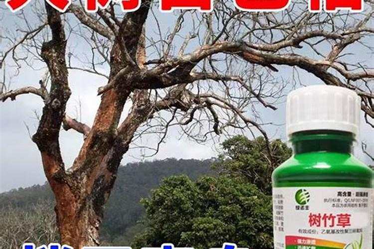 苹果用什么水溶肥好