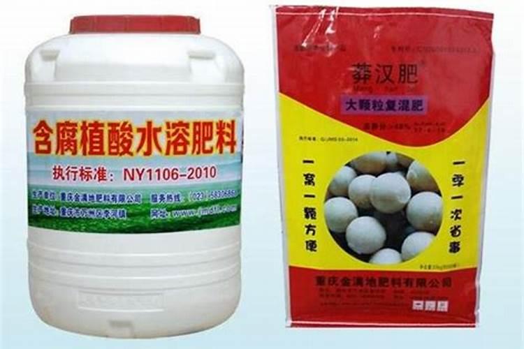 小果树适合用什么样的肥料来施肥