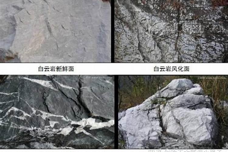 康乃馨盆栽的营养土可以直接栽种君子兰吗？