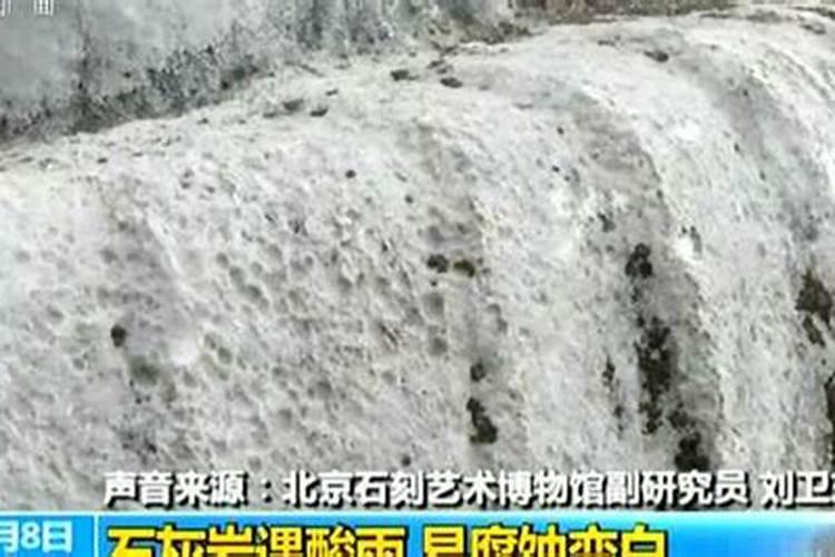植物营养液的成分是什么
