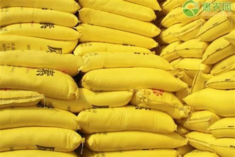 无公害茶叶怎么施肥？详解无公害茶叶施肥技术