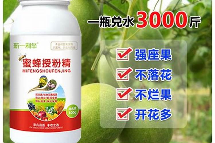 辣椒整株发黄,叶片有斑点,果实尖部腐烂,然后落花落果!!!