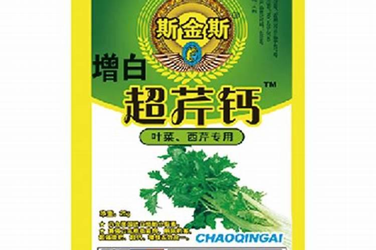 芹菜的种植和管理？