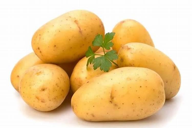 土豆需要什么肥料