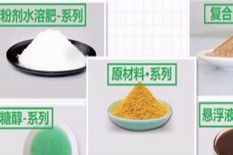 四季青小菜需要什么样的肥料