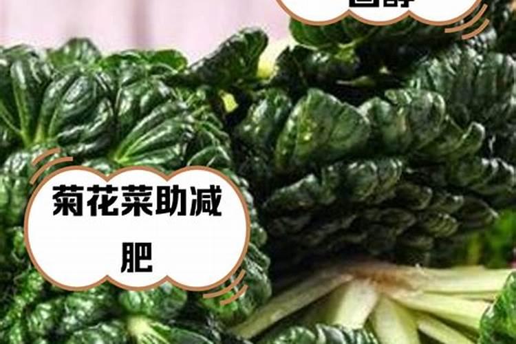 鸭舌草可以治什么病