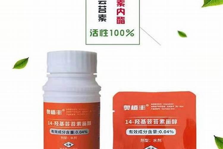 早富贵李子怎样防冻？