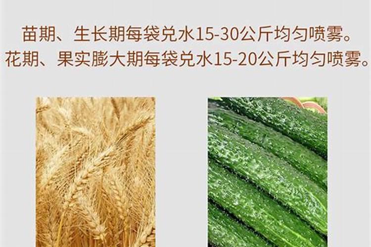 山东有哪些蔬菜基地