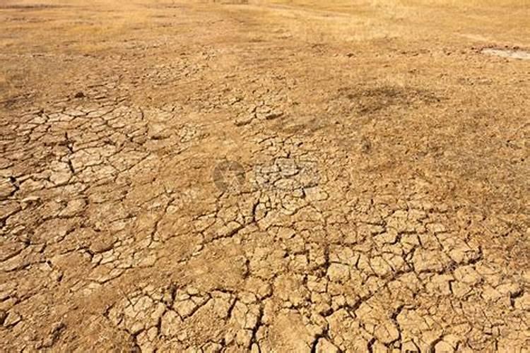 黑土地、红土地、黄土地的区别是什么？