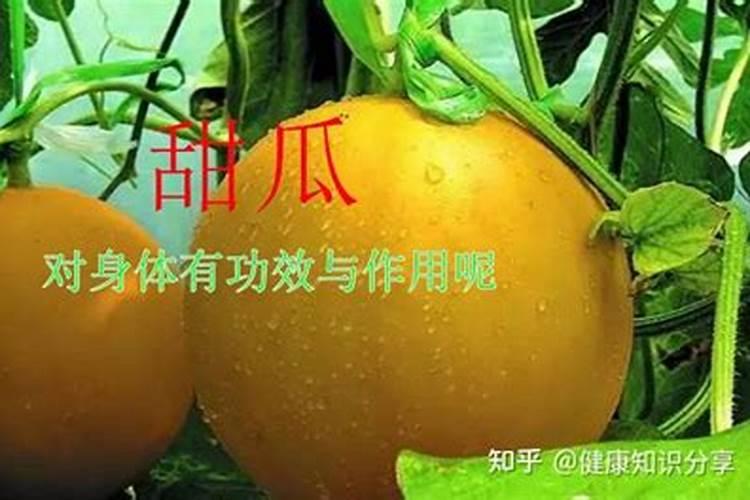 海藻精的正确使用方法