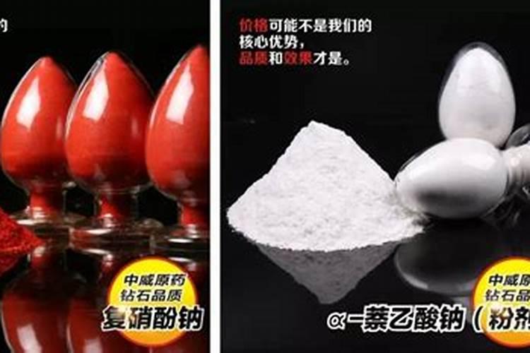 新鲜黄花菜怎样处理后食用