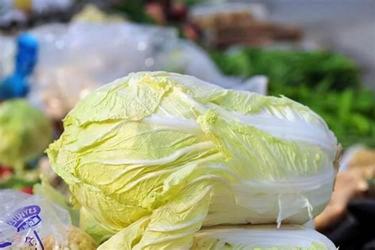 磷酸二氢钾在白菜上使用方法