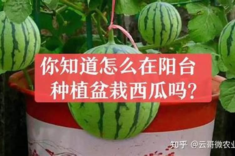 磷酸二氢钾能一起用吗