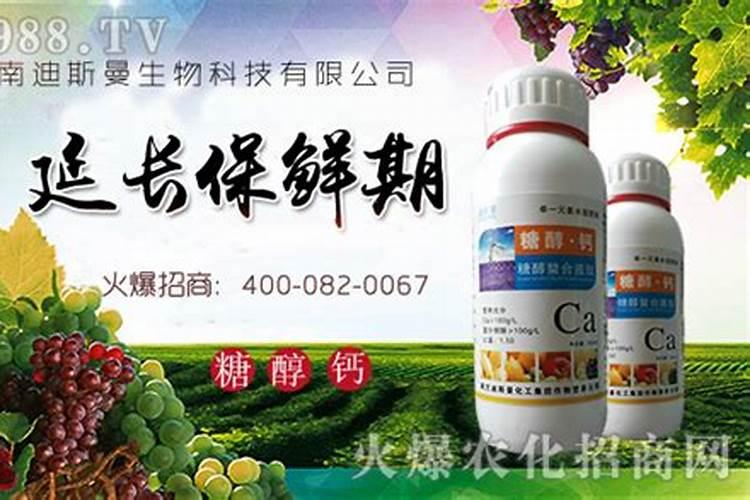 葡萄转色期打糖醇钙好吗
