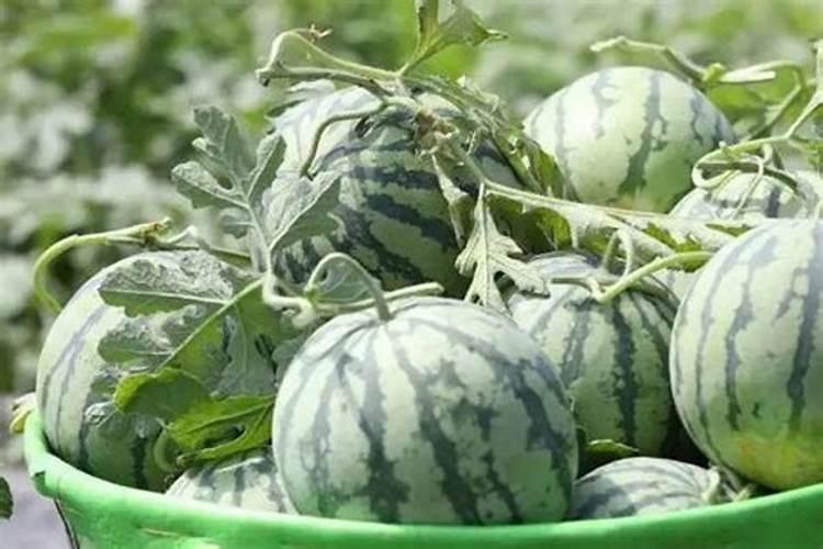 标称低盐食品的国家标准是什么？