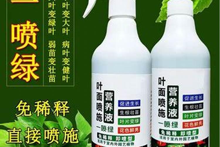 玉米喇叭时期喷叶面肥,管啥用的？