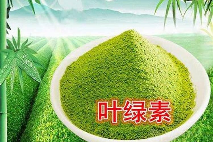 叶绿素叶面肥喷在秧田里能用几次吗？