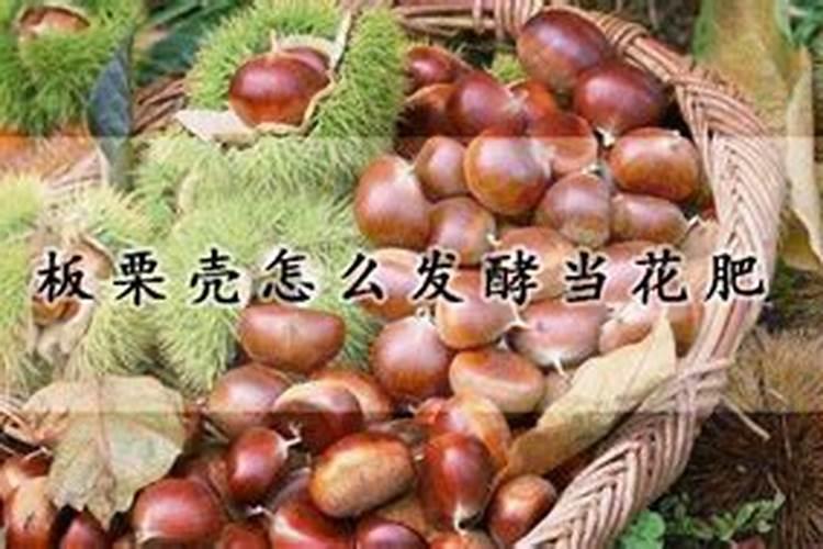 板栗壳怎样做花肥