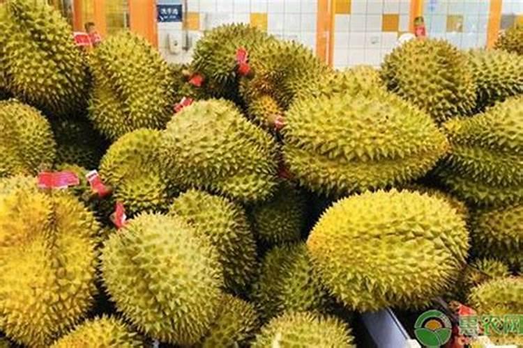玉米六叶期能打硅肥吗
