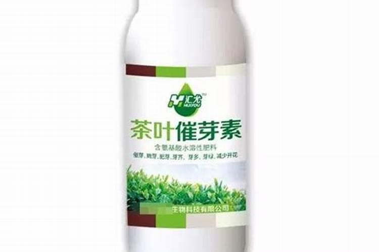 发芽素是什么