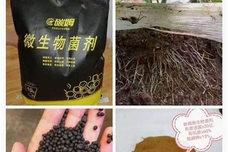 复合肥在水中溶解后有不溶的沉淀物,可能是什么物质