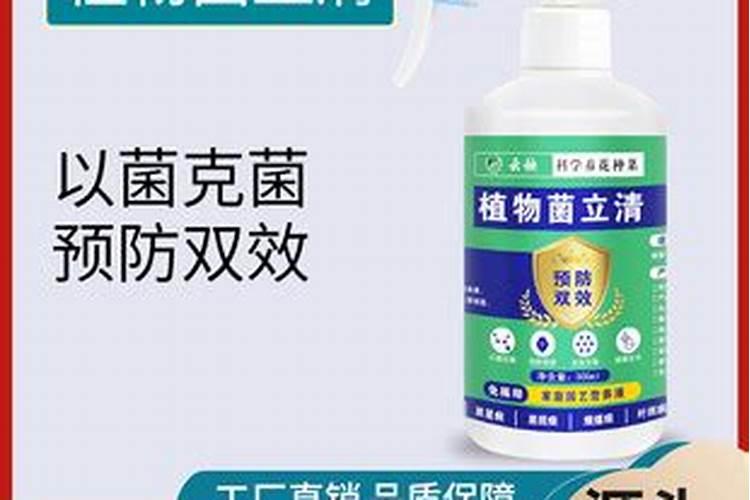 湖南钾肥造粒机定制
