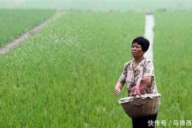 如何按测土配方计算实际化肥施用量？