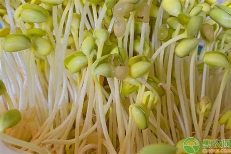 肥料属于什么行业